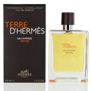 Version 1.0.0 Terre D'Hermès by Hermès for Men 3.3 oz Eau de Toilette Eau Givrèe Eau Intense Vètiver Spray